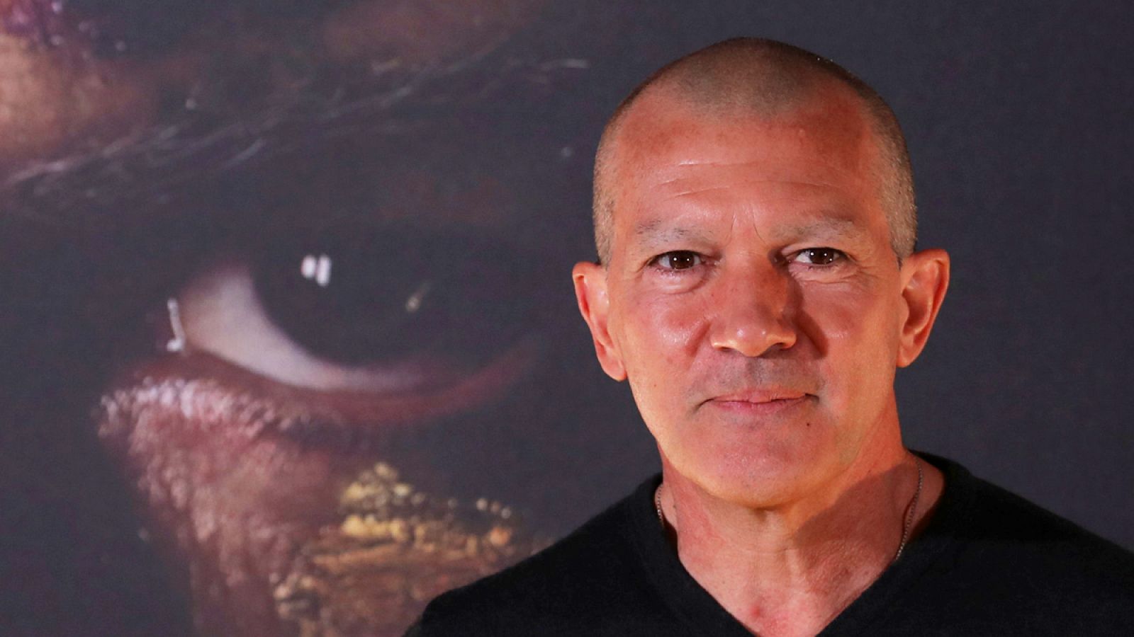 Antonio Banderas, durante la promoción de 'Genius: Picasso'.