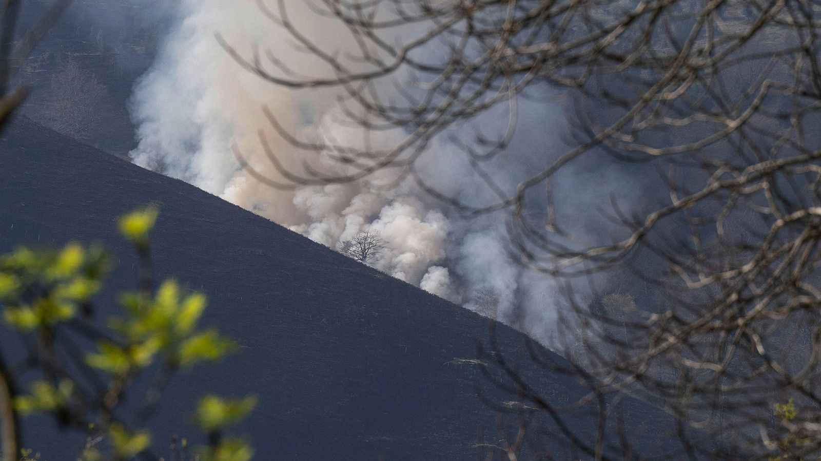 Vista del incendio forestal declarado en la localidad cántabra de Saja