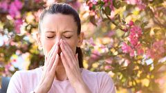Cómo disfrutar de la primavera a pesar de la alergia