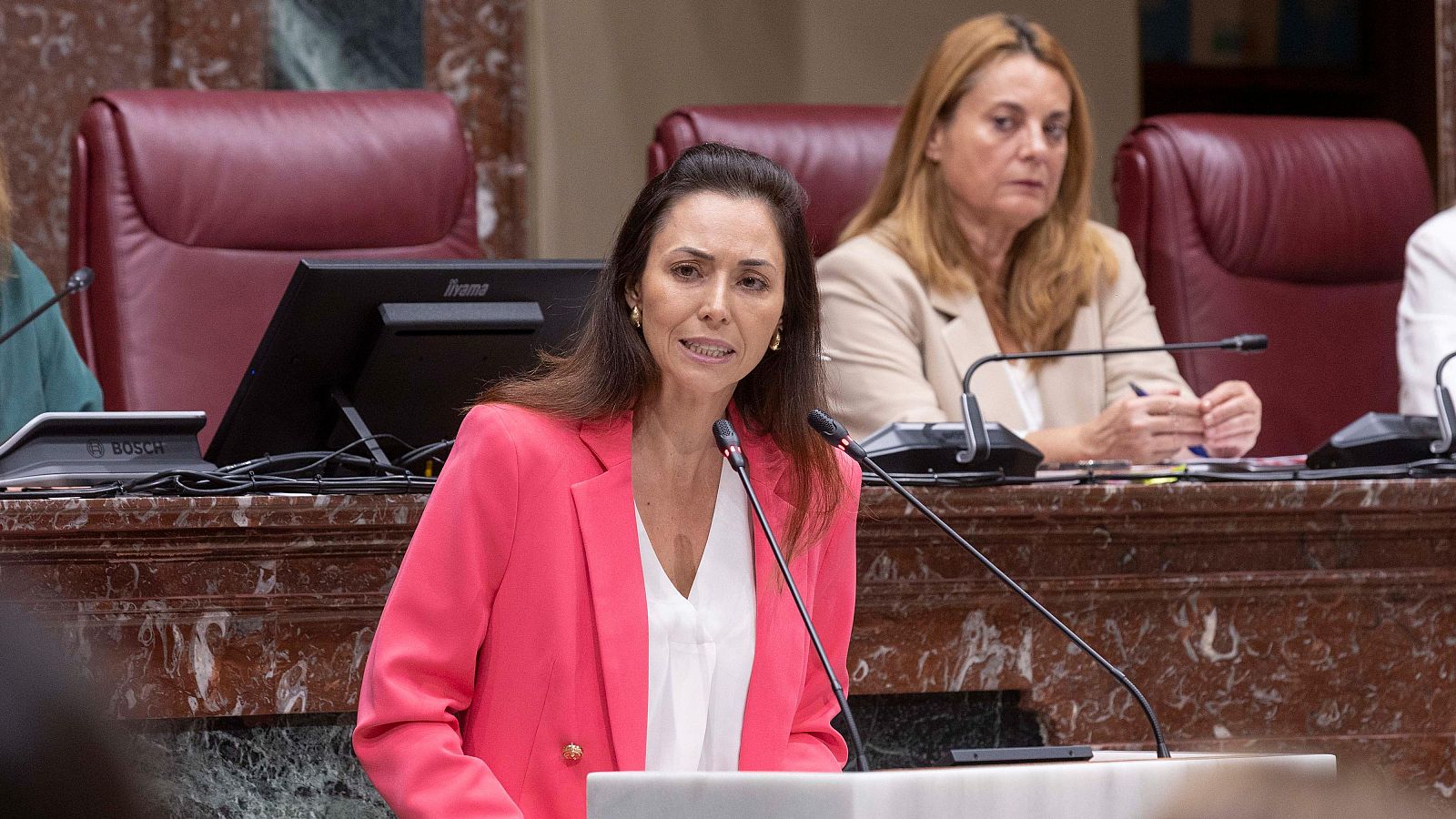 La hasta hoy diputada de Vox en la Asamblea de Murcia Virginia Martínez, durante una intervención en un pleno.