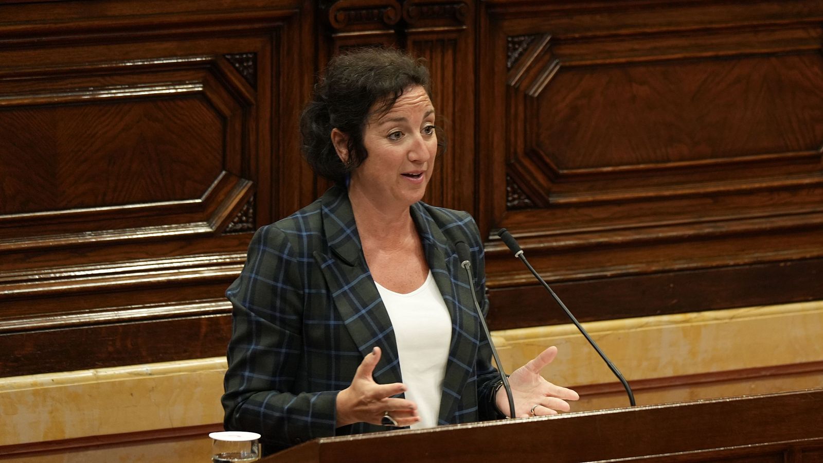 La consellera d'Economia, Alícia Romero, intervé al ple del Parlament
