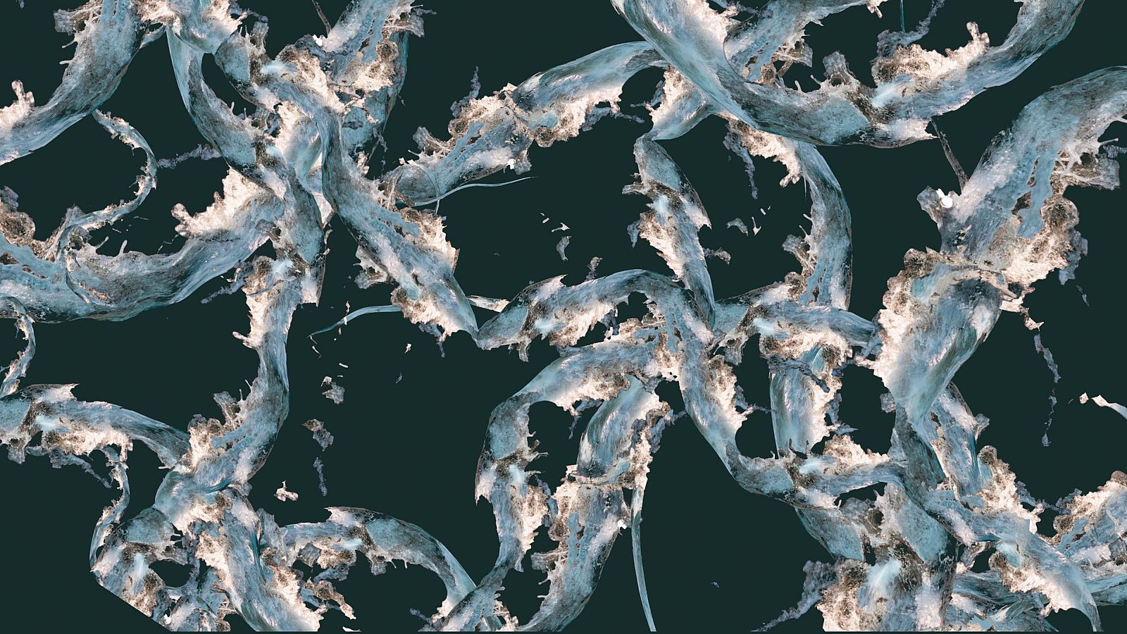 Rosa Muñoz invita a contemplar la geometría sagrada del agua