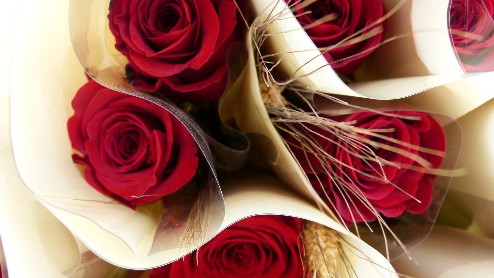 RTVE Catalunya es bolca en la diada de Sant Jordi