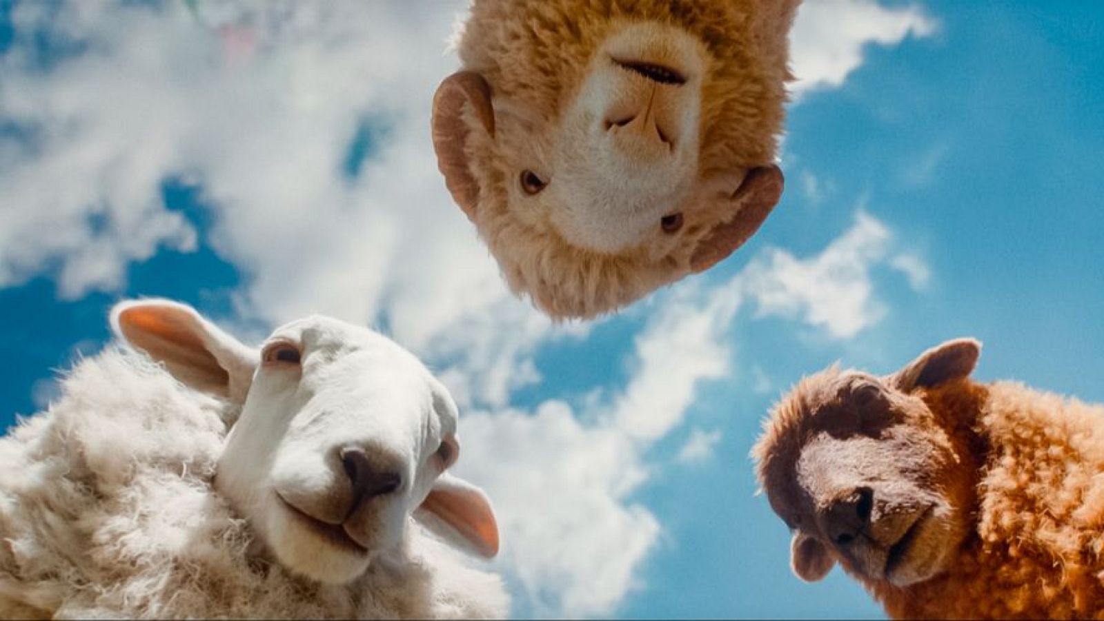 Tres ovejas, una marrón claro, una blanca y una marrón rojizo, observan desde diferentes ángulos contra un cielo azul con nubes. La perspectiva es desde abajo, resaltando sus miradas curiosas.