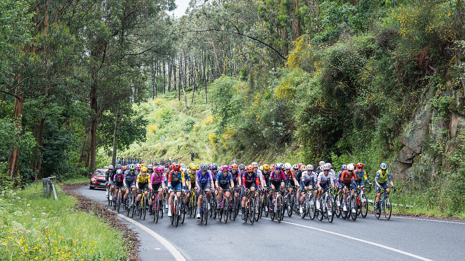La Vuelta a España femenina 2026