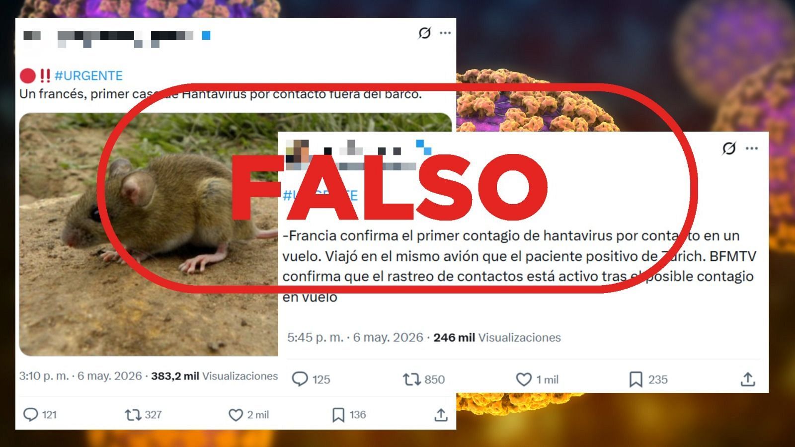 Francia no ha confirmado un caso de hantavirus, a 6 de mayo de 2026