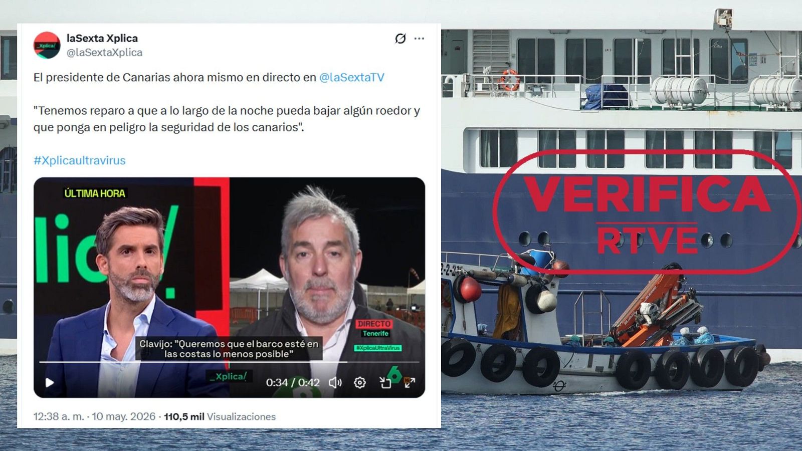 Hantavirus: no hay ratas en el MV Hondius y es muy improbable que lleguen a la costa