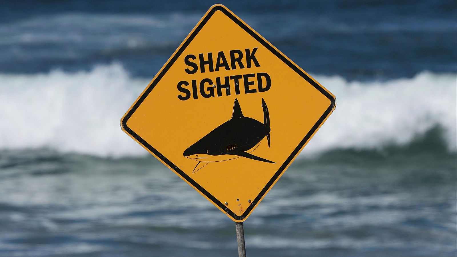 Un hombre muere tras ser atacado por un tiburón en la costa oeste de Australia