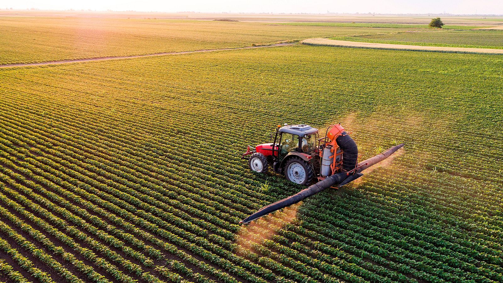 Bruselas plantea ayudas al campo europeo para antes del verano por el encarecimiento de los fertilizantes