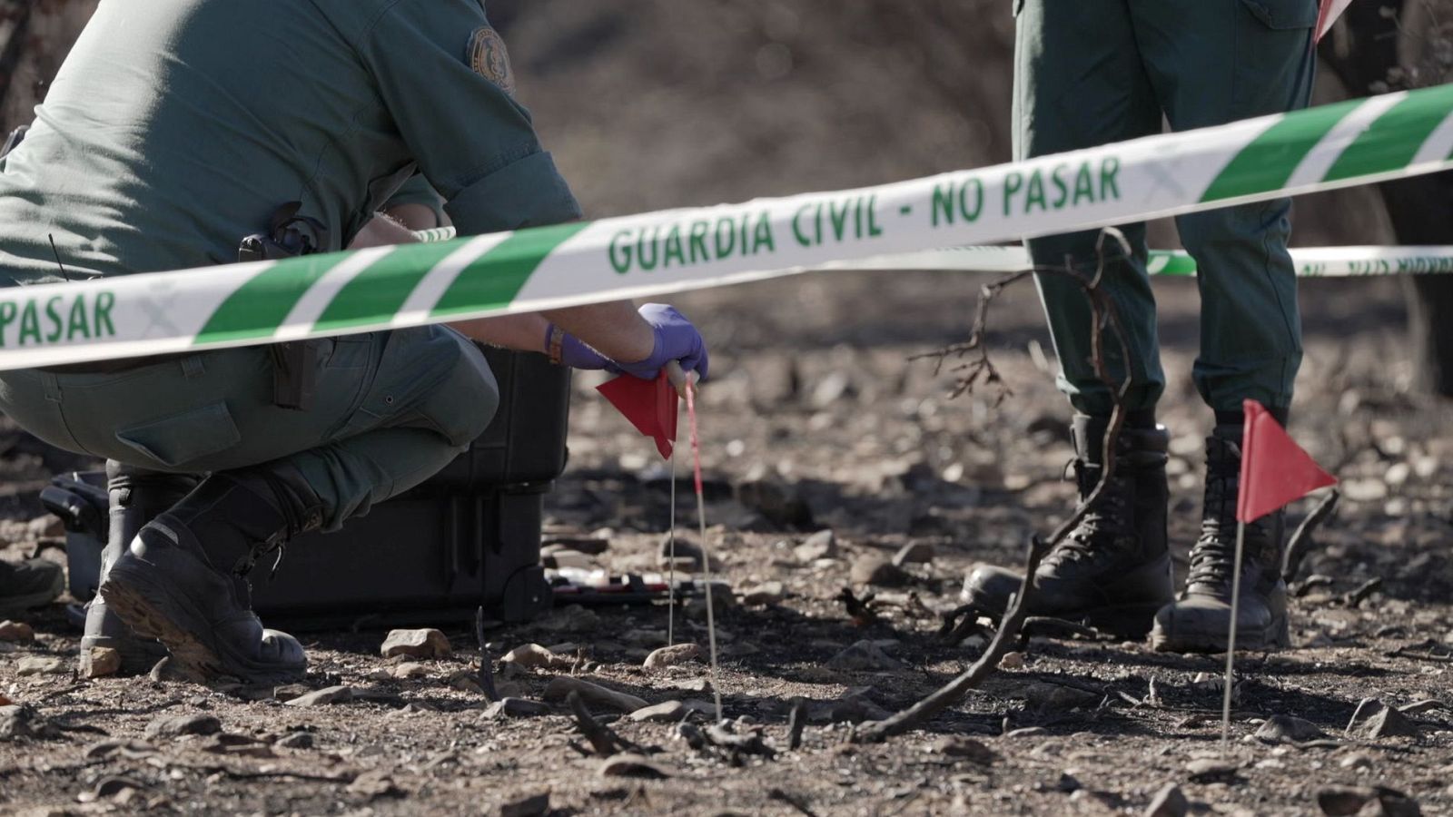 e los 350 incendios que hubo el año pasado en España, 'En Portada' se centra en el de Molezuelas de la Carballeda