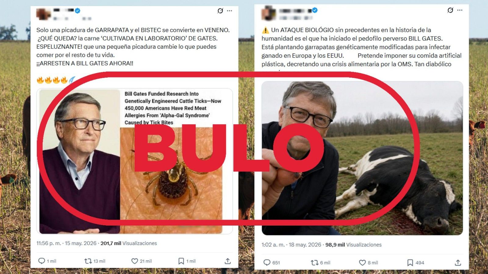 Bill Gates no planta garrapatas modificadas genéticamente en ganado para generar intolerancia a la carne