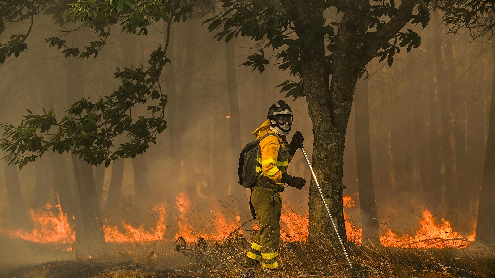 Presentación nuevo Índice de Peligro de Incendios Forestales.