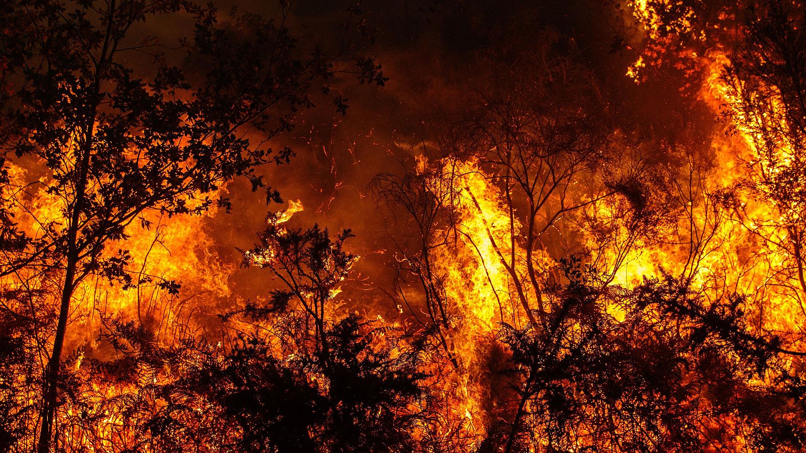 La nueva campaña de prevención de incendios de Castilla-La Mancha