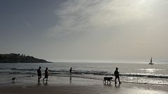 El Instituto de Salud Carlos III informa de seis muertes atribuibles a las altas temperaturas en Cantabria