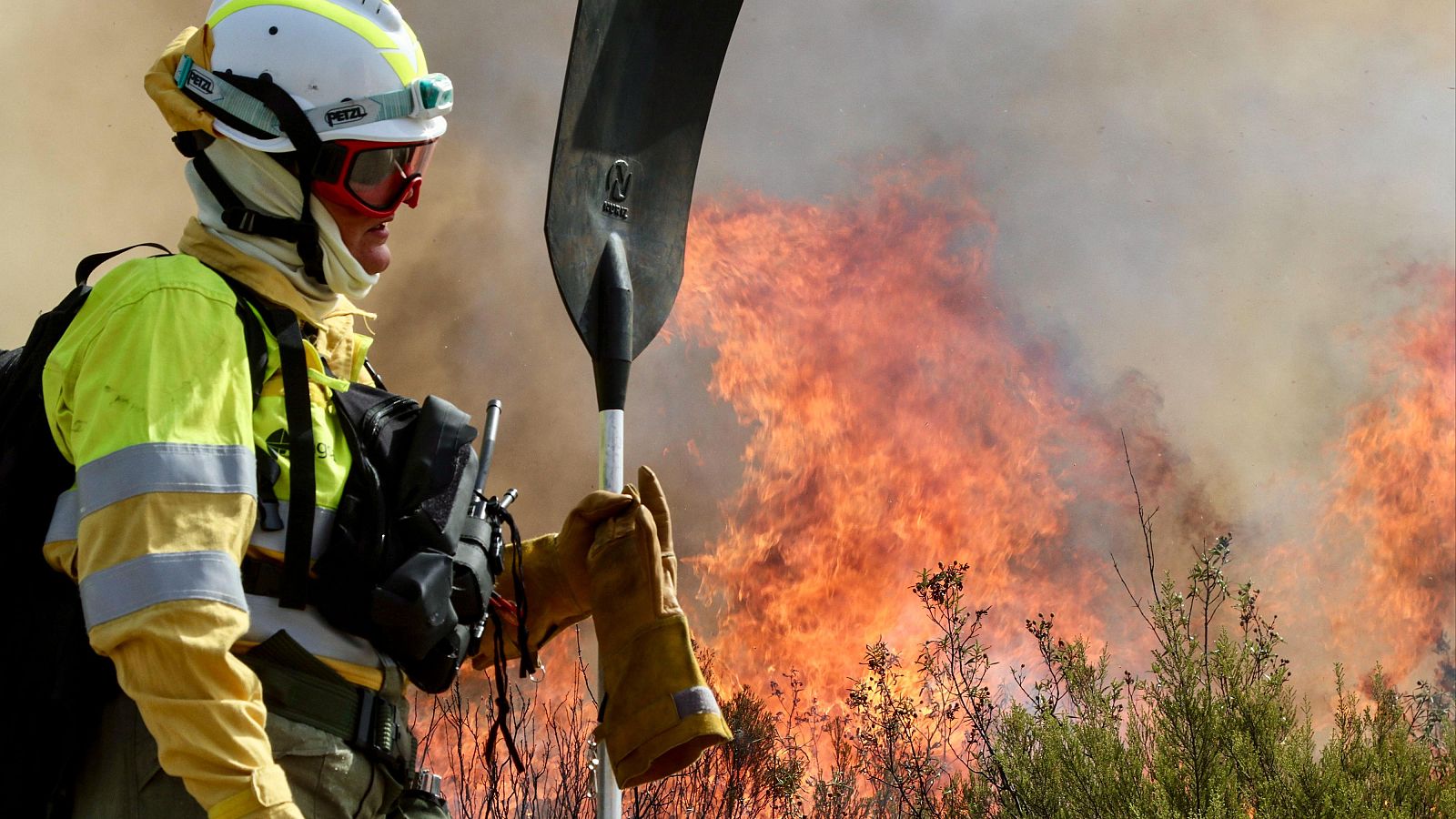 Las empresas forestales de Castilla y León no intervendrán en más labores de extinción.