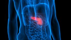 Encuentran la pieza clave para frenar el cáncer de páncreas