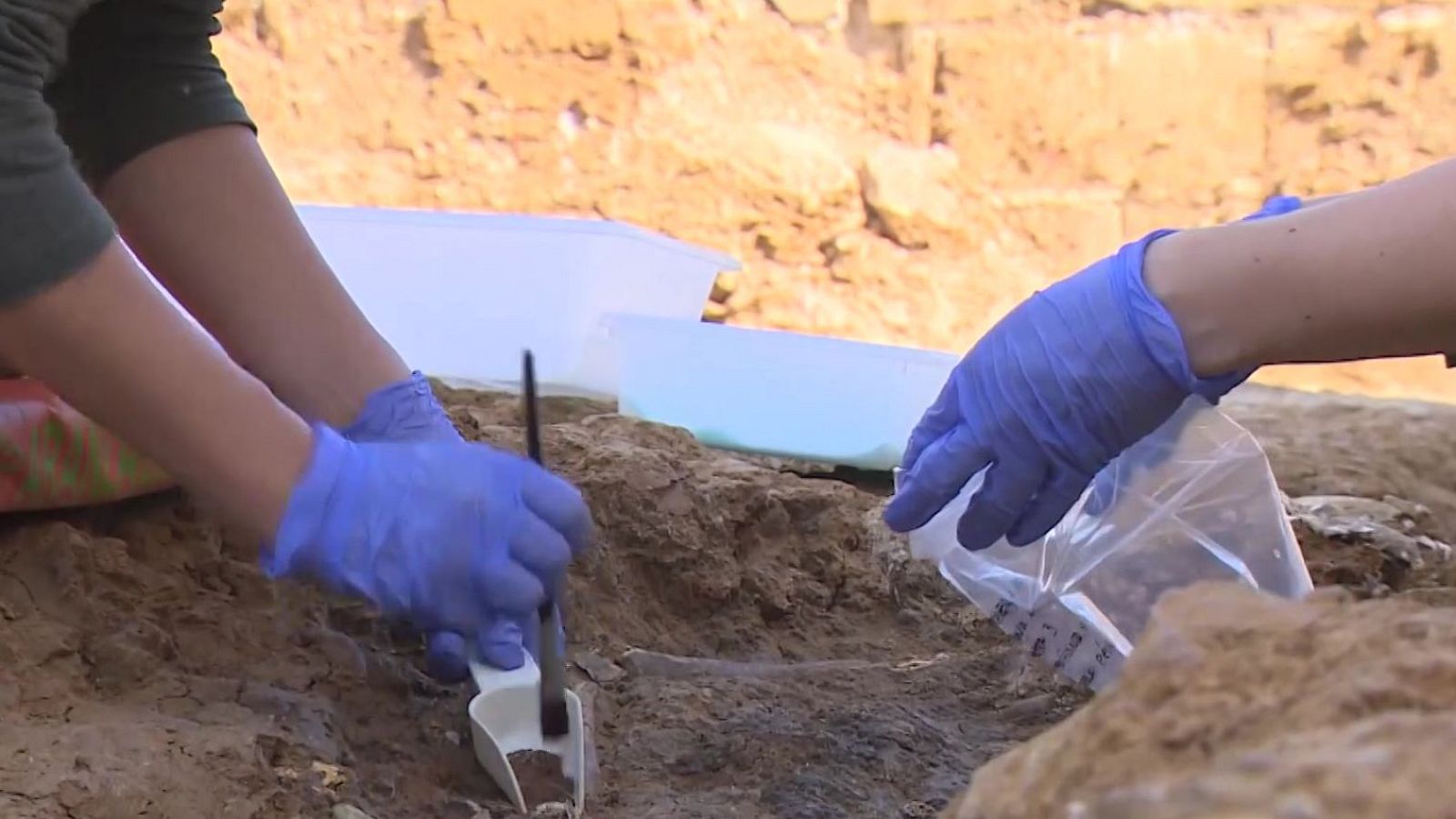 Manos enguantadas en azul recolectan tierra con pala y pincel, preparadas para depositarla en una bolsa transparente. Al fondo, recipientes blancos con líquido azul indican tareas de campo.