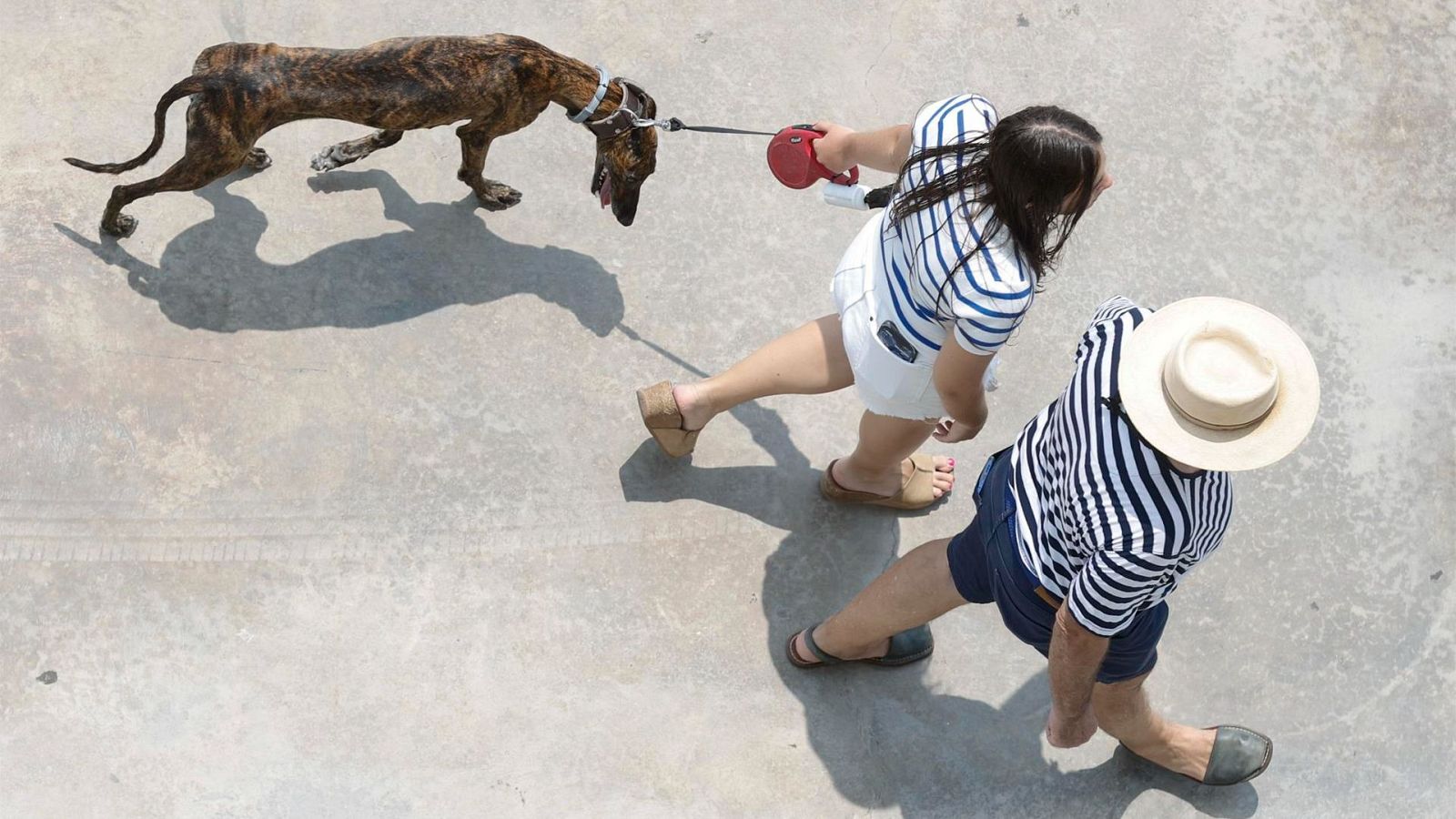 Dos personas pasean con su perro en Valencia.