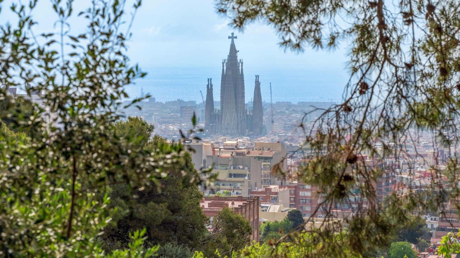 Vista panorámica de Barcelona con la Sagrada Familia y su cruz recién colocada, enmarcada por vegetación y con el mar al fondo.