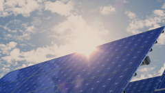 Agrivoltaica: la combinación entre tradición y la innovación