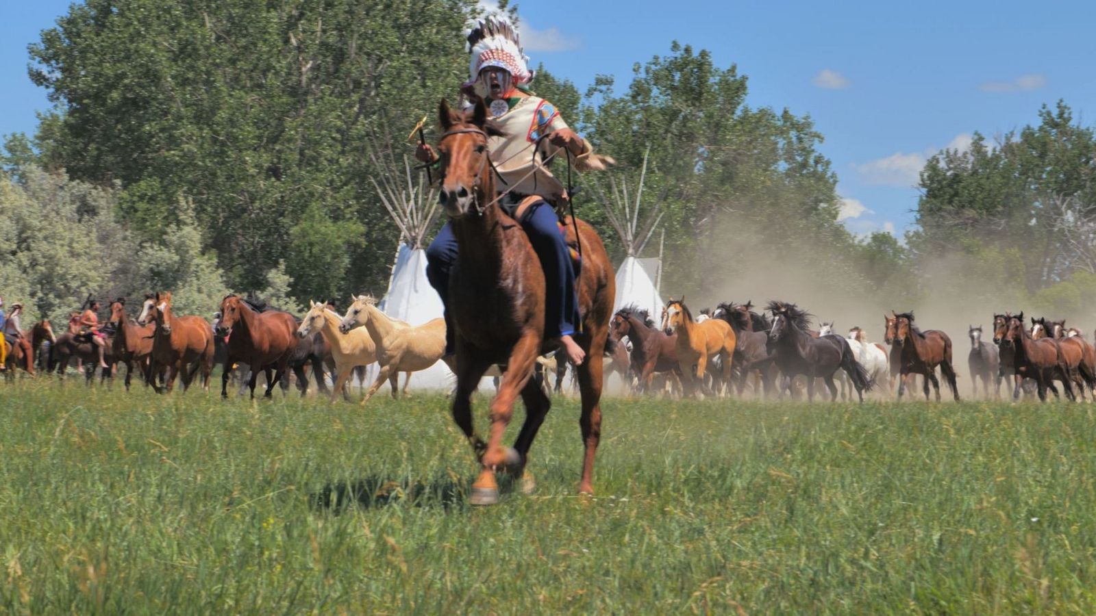 Jinete con tocado de plumas y pintura de guerra a caballo, seguido por una manada. Tipis y árboles al fondo bajo cielo azul.