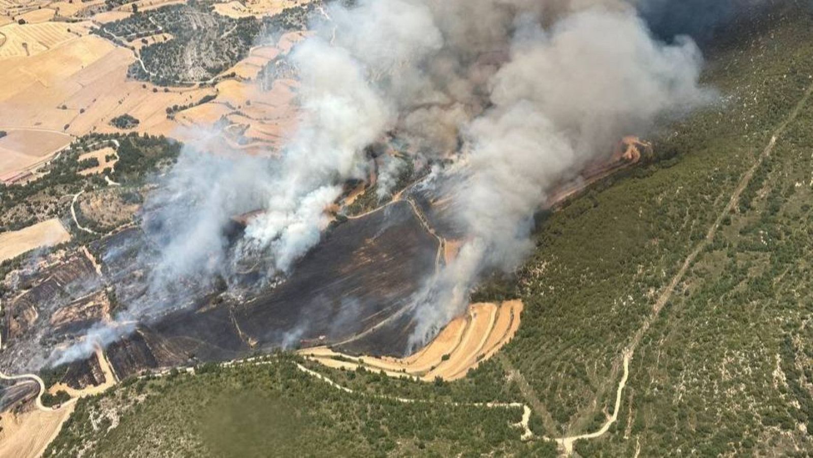 Les flames han començat en una zona agrícola i han progressat fins a una àrea de vegetació forestal