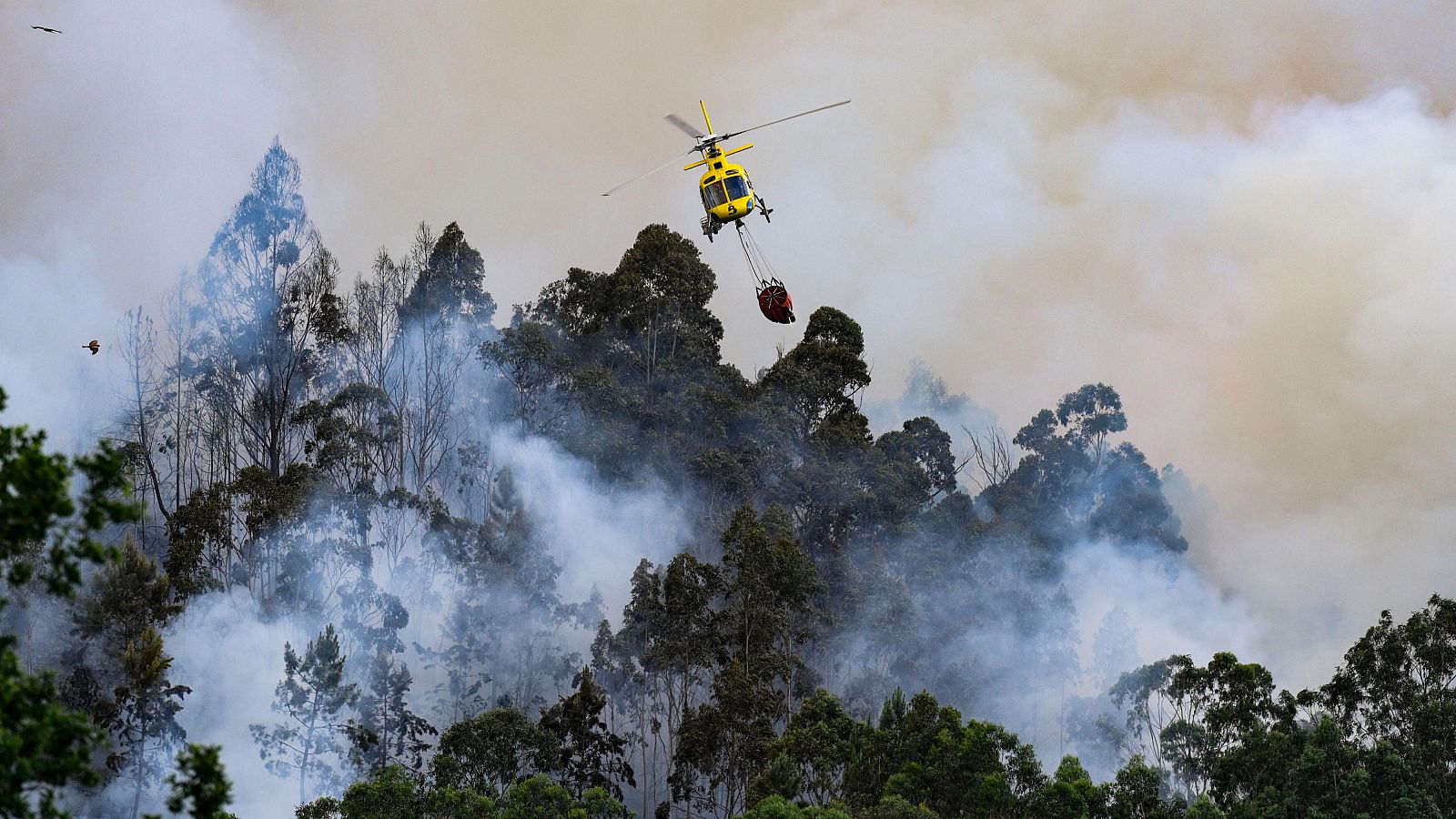 Un helicóptero trabaja en el incendo forestal en la localidad asturiana de Peñaflor (Grado), este sábado.
