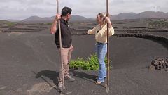 Vida entre cenizas: el secreto de los viñedos bicentenarios de Lanzarote