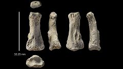 Los primeros 'Homo sapiens' llegaron a Arabia, más lejos de lo que se pensaba