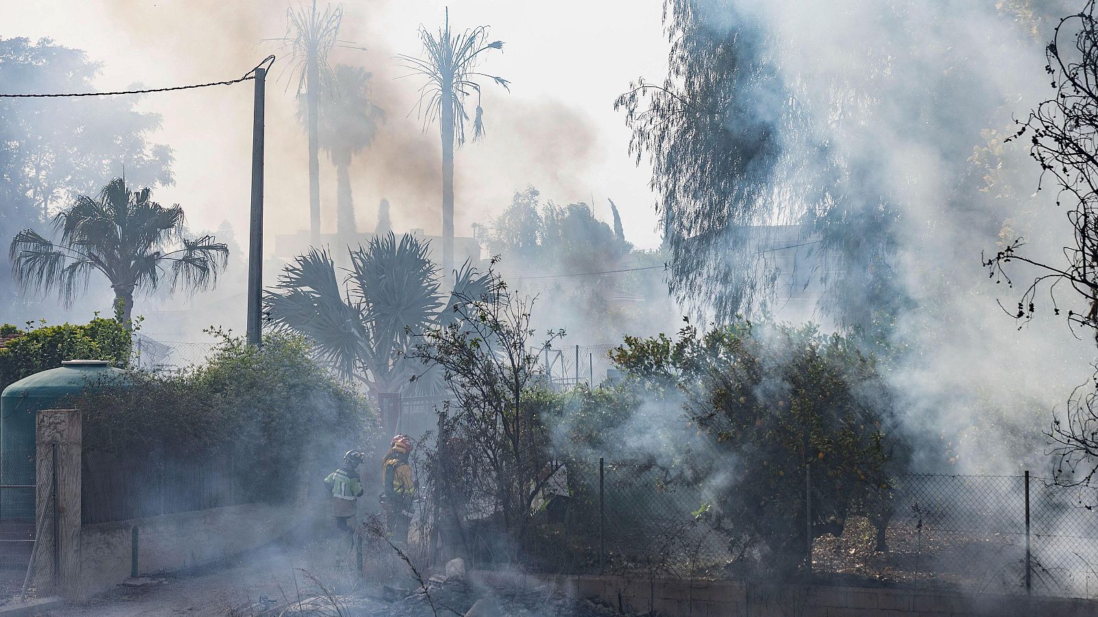 Estabilizado el incendio declarado en la pedanía murciana de La Arboleja, junto al río Segura