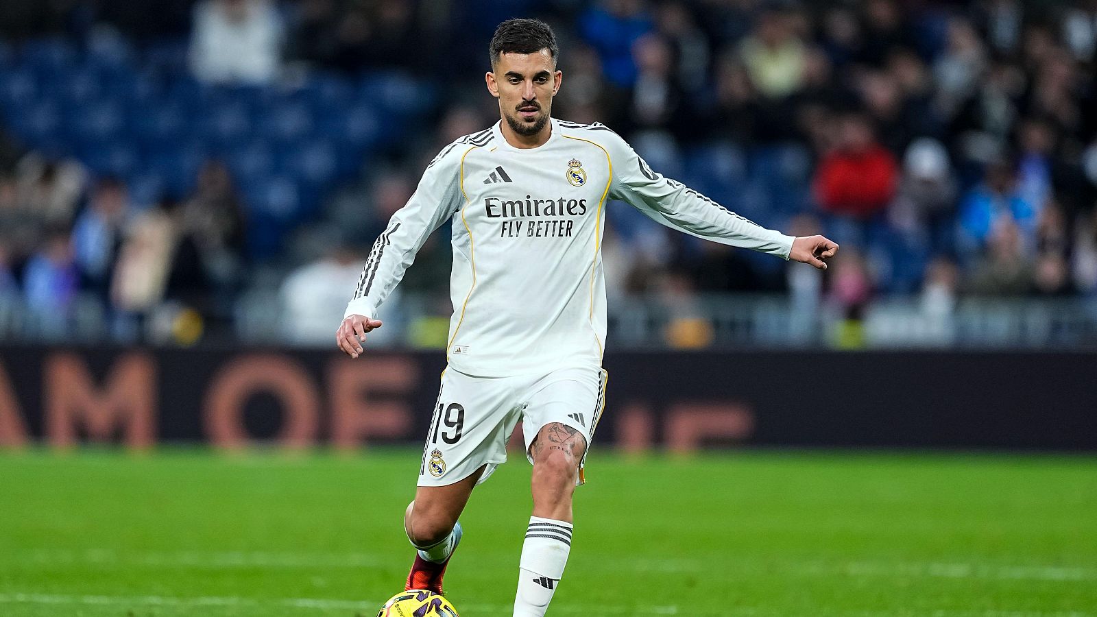 Dani Ceballos en un partido del Real Madrid en el Santiago Bernabéu