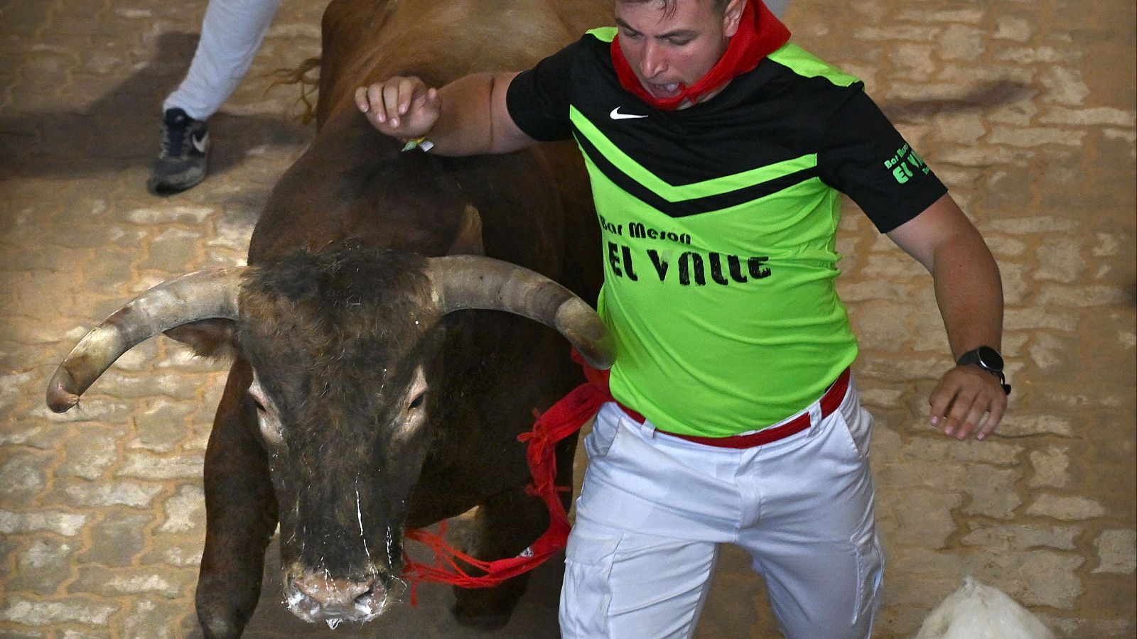 Toro marrón oscuro con grandes cuernos, mozo con camiseta verde fluorescente y pantalones blancos corriendo junto a él durante un encierro. Tensión y emoción.