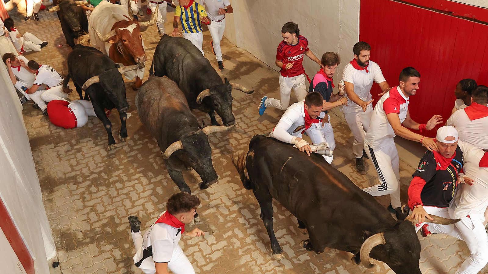 San Fermín 2026: Miura, séptimo encierro