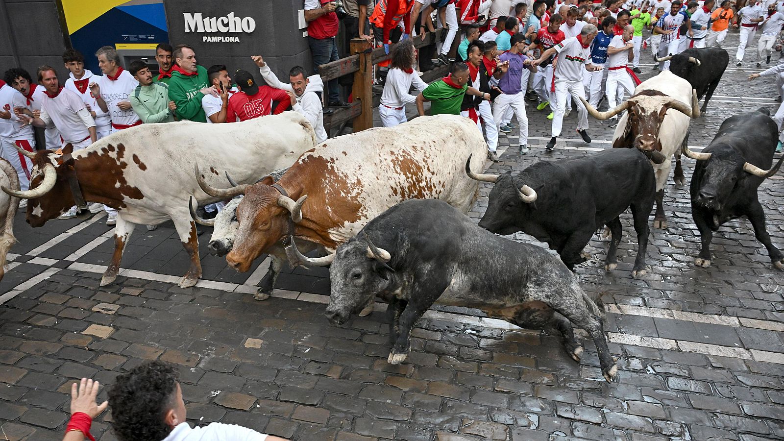 San Fermín 2026: Cebada Gago, segundo encierro