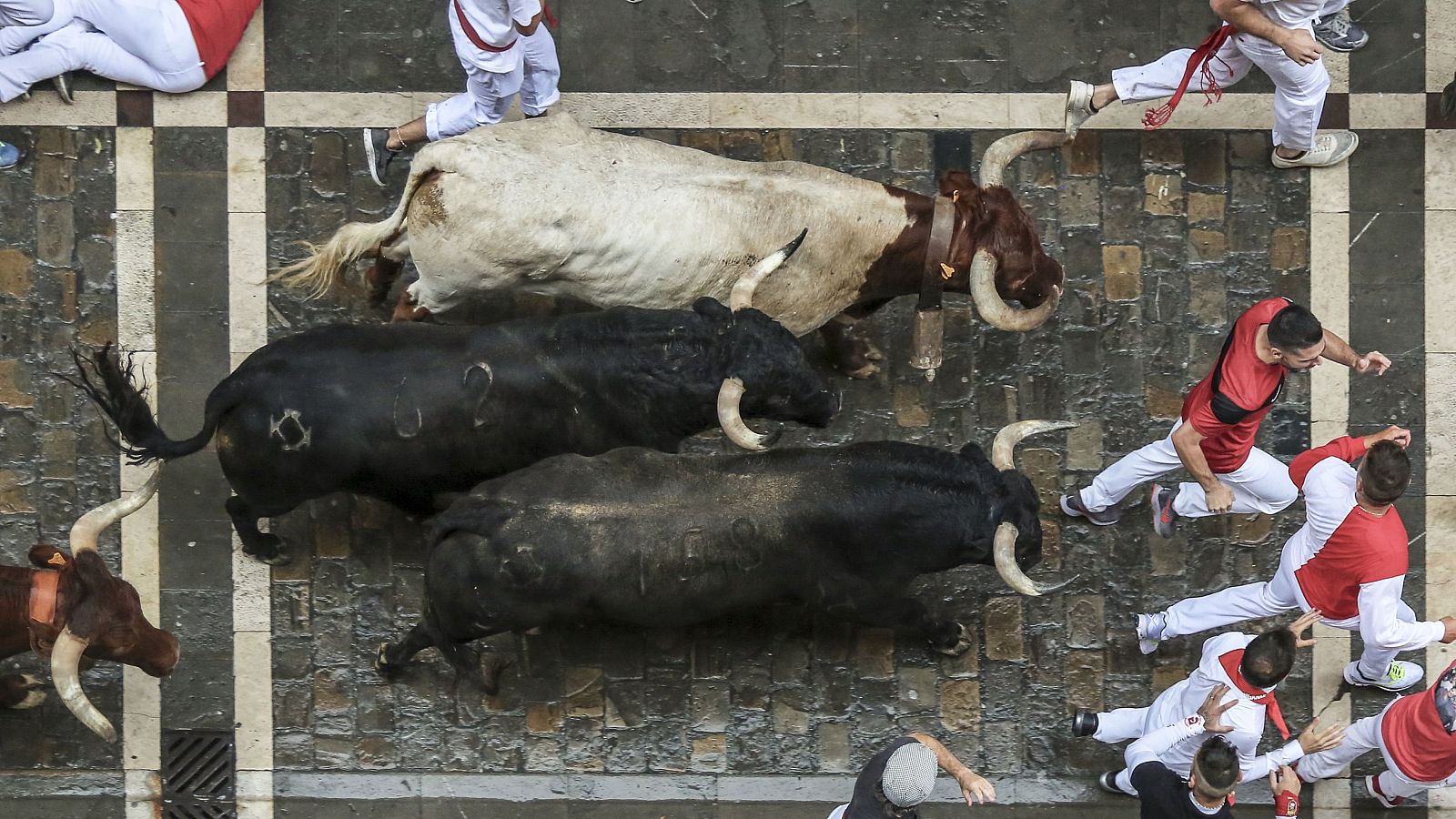 Encierro de toros con personas vestidas de blanco y rojo corriendo junto a animales negros y uno blanco con cencerro por calle adoquinada. Se observa el número "2" en un toro.
