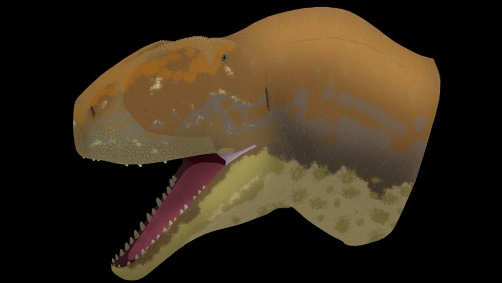 Así era el Majungasaurinae, el dinosaurio que dejó 40 dientes en el yacimiento de Algora