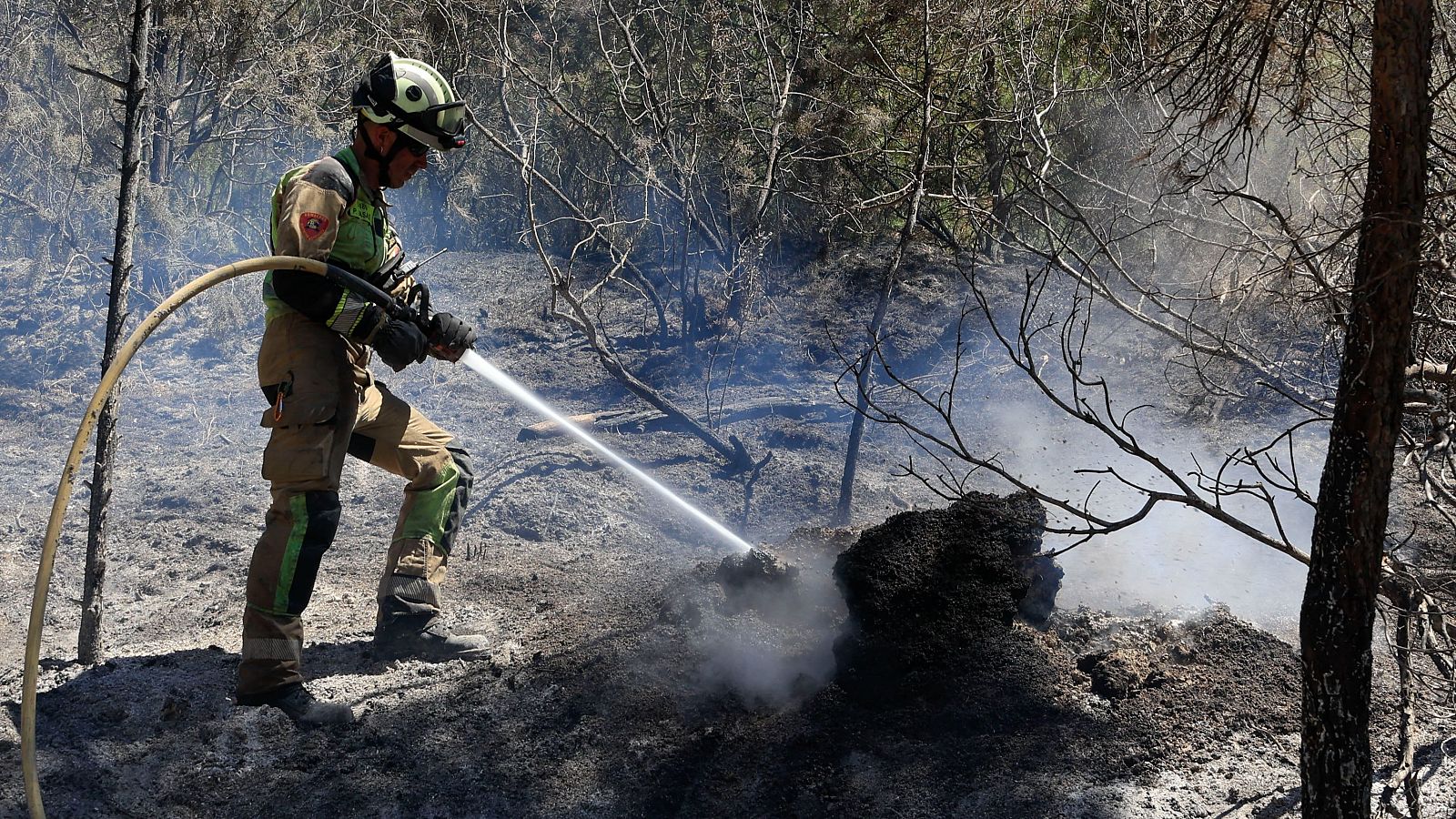 Bomberos trabajan en el incendio forestal de Leciñena (Zaragoza)
