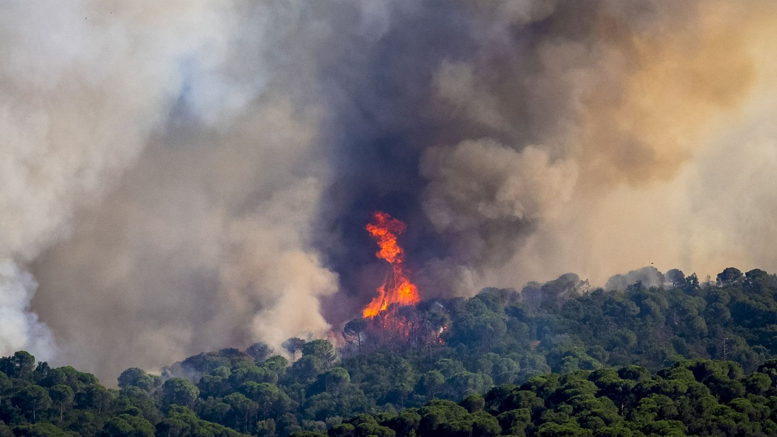 Les flames devoren una zona del massís de les Gavarres, amb potencial per arribar a les 10.000 hectàrees