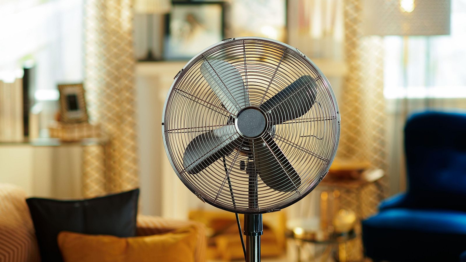 El calor, un enemigo silencioso para vinos, libros y objetos de valor en casa: ¿cómo conservarlos?, ¿cubre el seguro el daño?