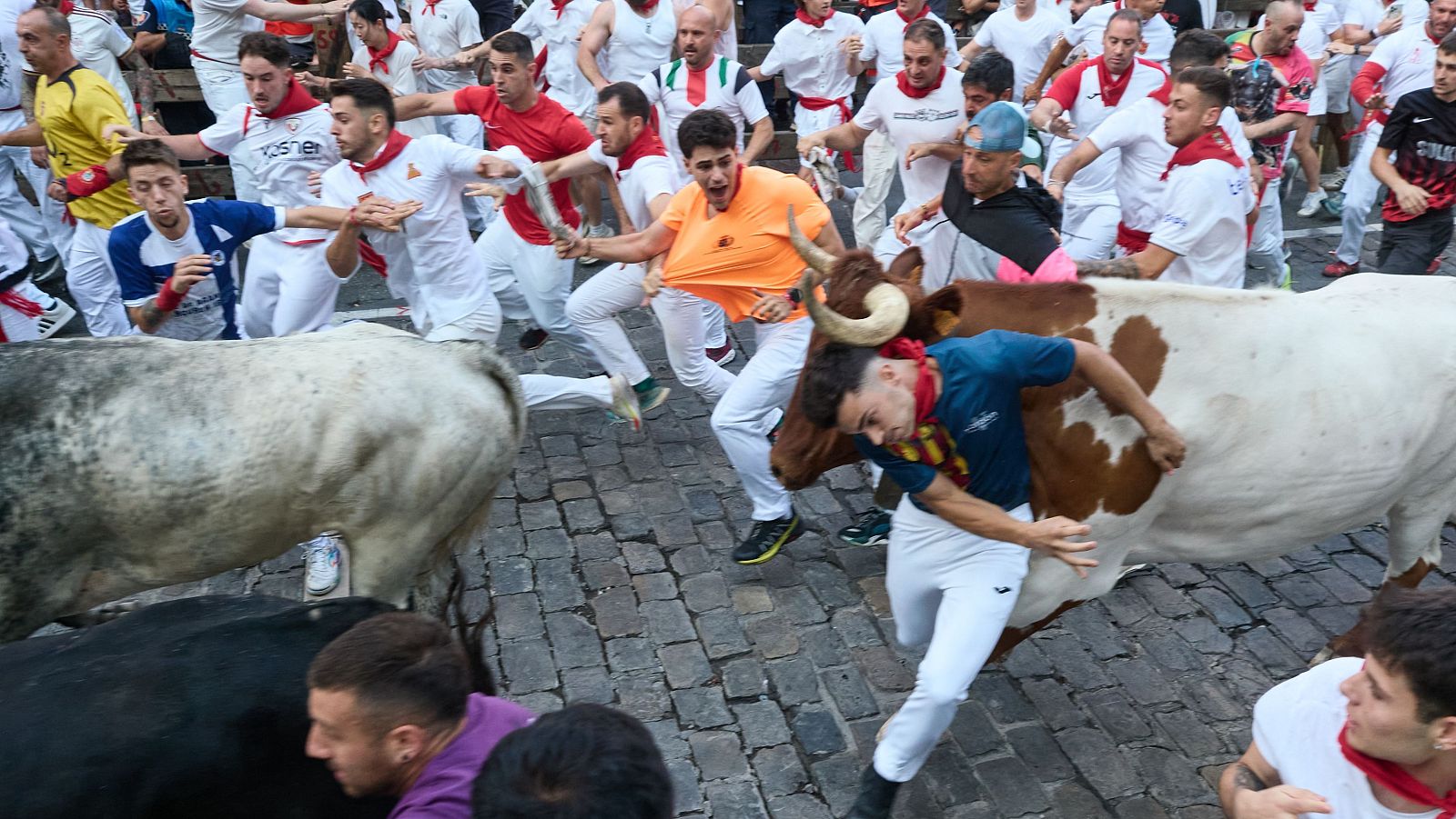 Mozos perseguidos por la manada durante el recorrido
