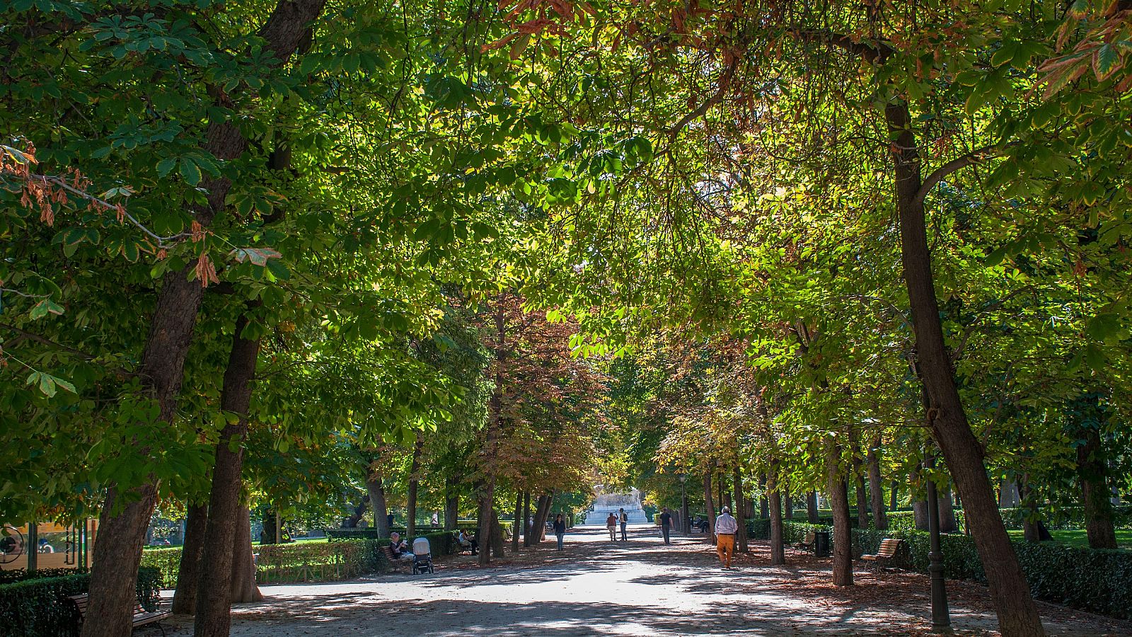 Los grandes aliados contra el cambio climático en las ciudades
