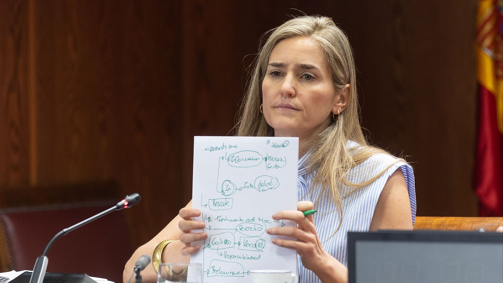 Aagesen niega que recibiera presiones para los rescates a Air Europa y Tubos Reunidos: "Nunca, en ningún expediente"