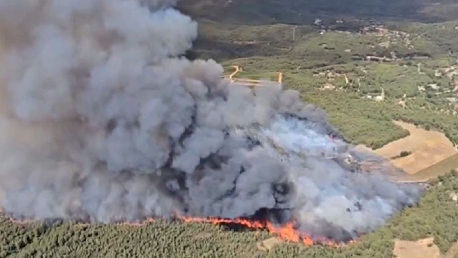 Imatge de l'incendi al Pla de Manlleu