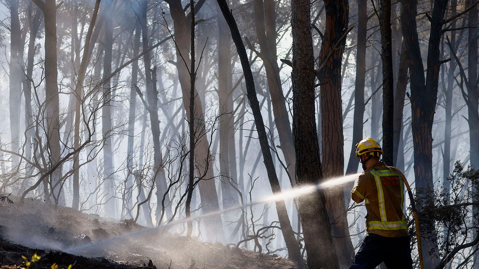Bomberos actúan ante el incendio originado este miércoles en Gavà (Barcelona)