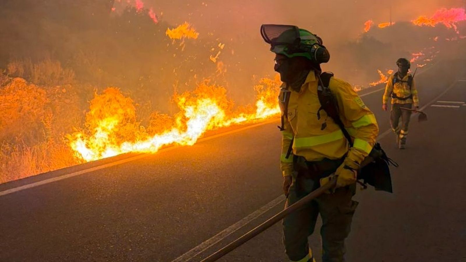 Al menos 12 muertos en un incendio forestal en Los Gallardos, Almería