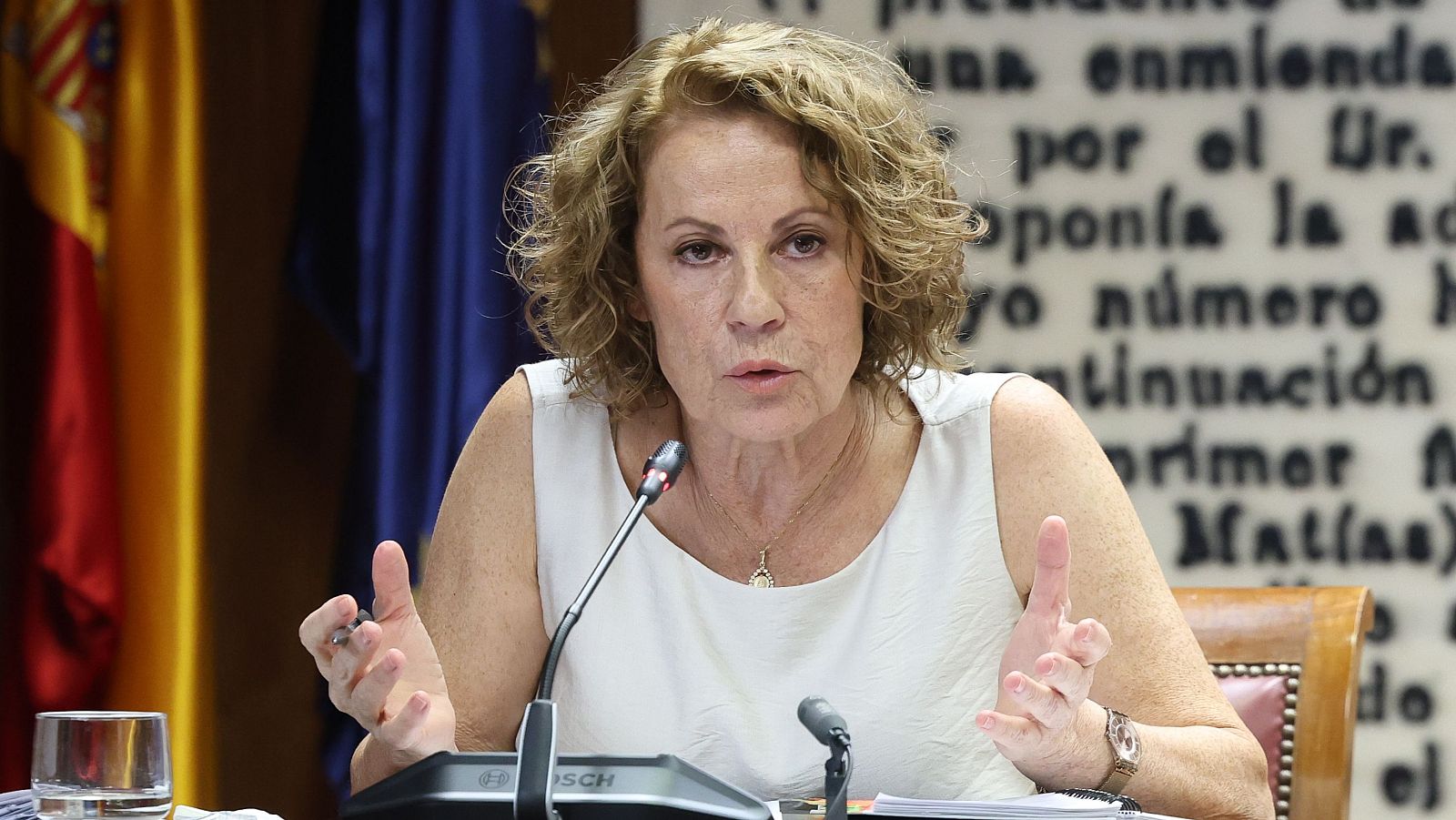 La exdirectora general de la Agencia Estatal de Administración Tributaria (AEAT), Soledad Fernández, comparece este lunes en el Senado.