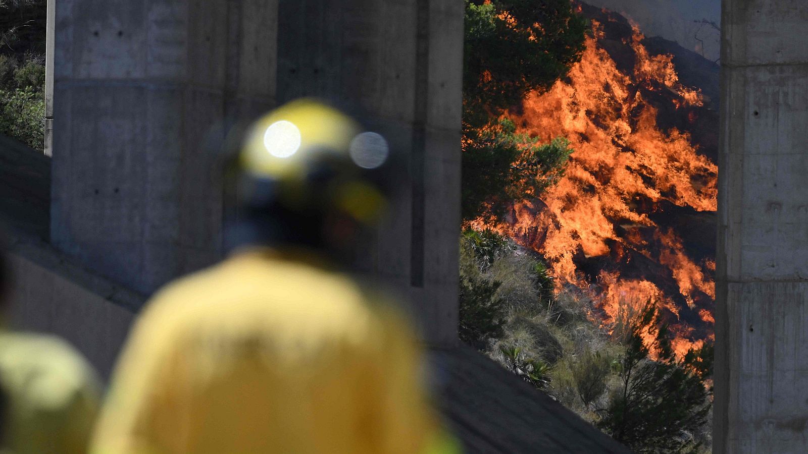 Los bomberos combaten el fuego cérca de Bédar, en Almería