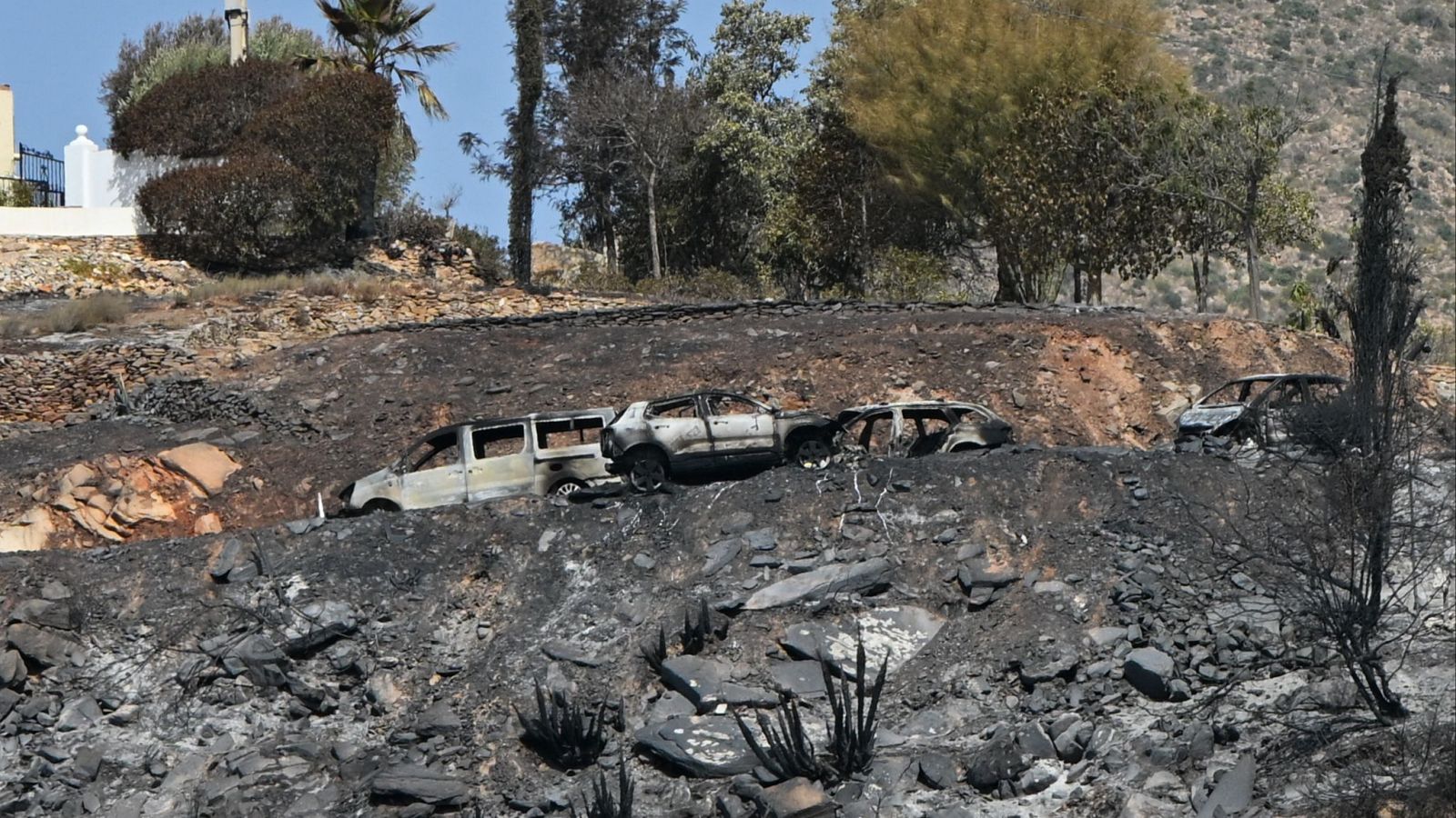 Incendio de Los Gallardos: qué se sabe.