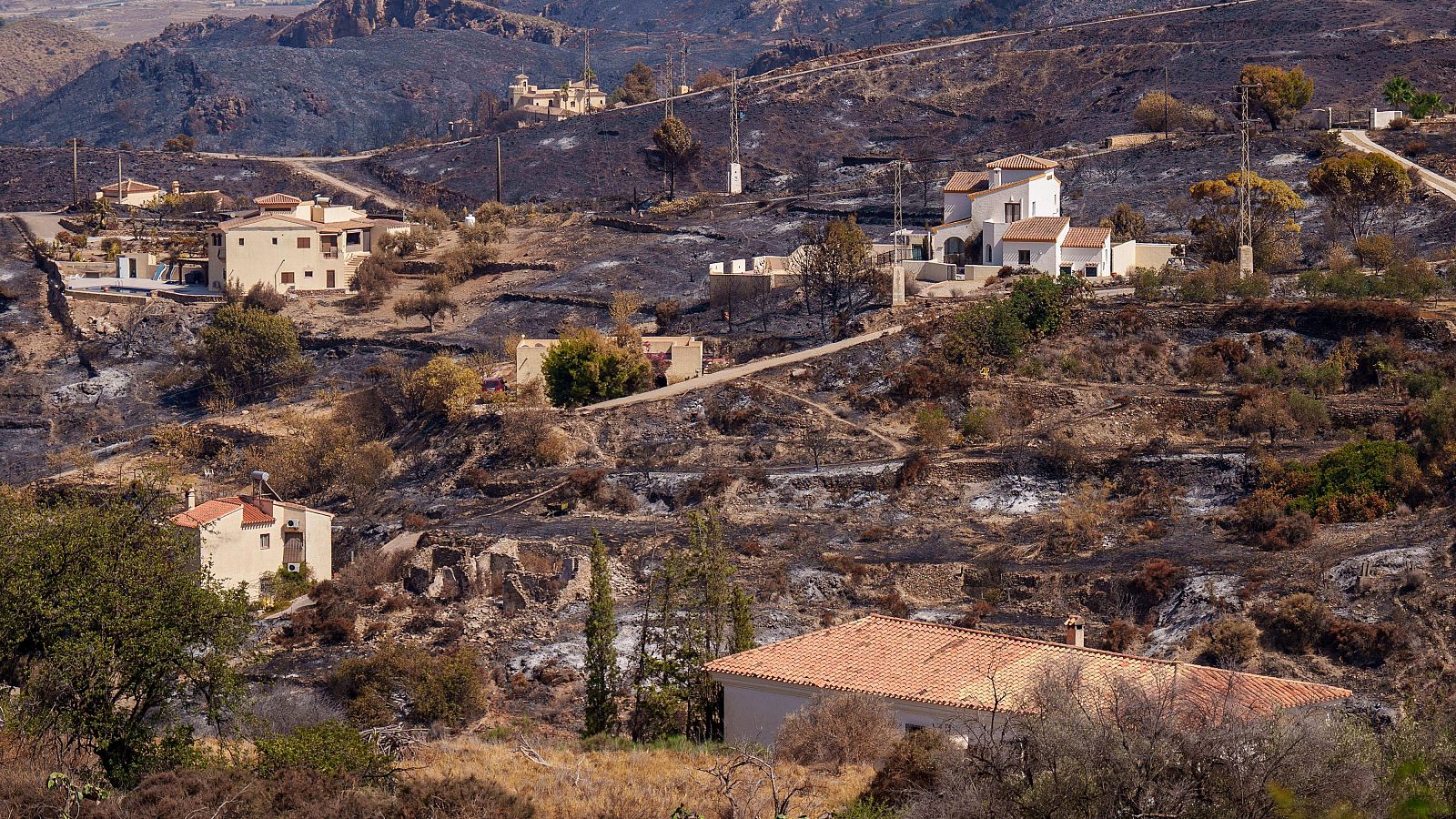 Muere una mujer de 93 años herida en el incendio de Los Gallardos y eleva la cifra de fallecidos a 13