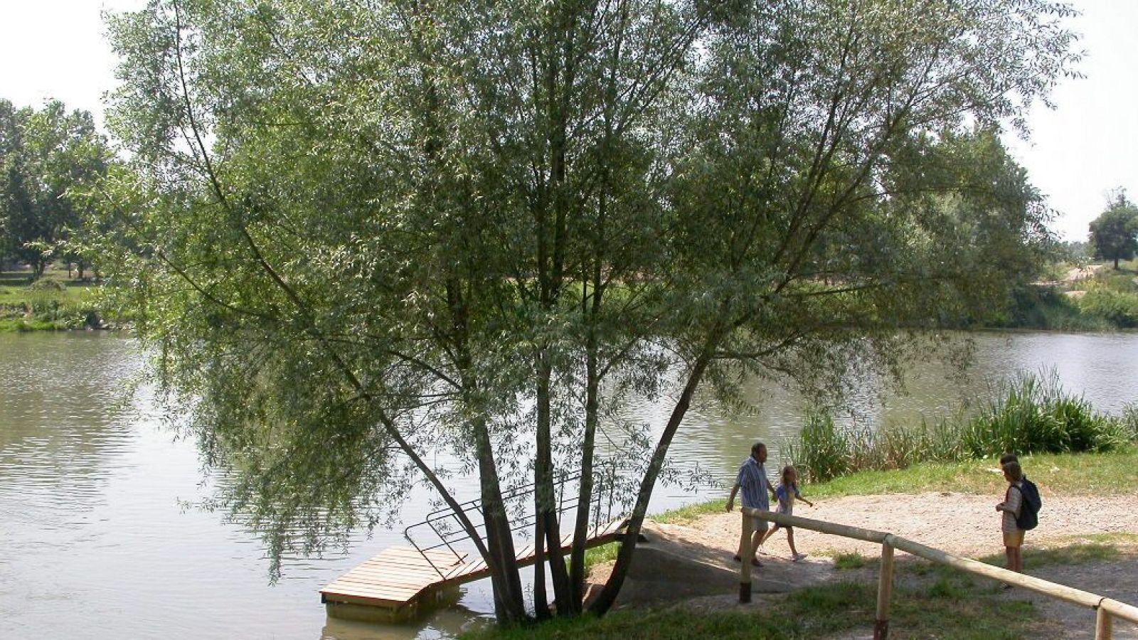 Paisaje natural con un gran árbol frondoso sobre un cuerpo de agua, un muelle de madera y un camino. Cuatro personas disfrutan del entorno soleado.